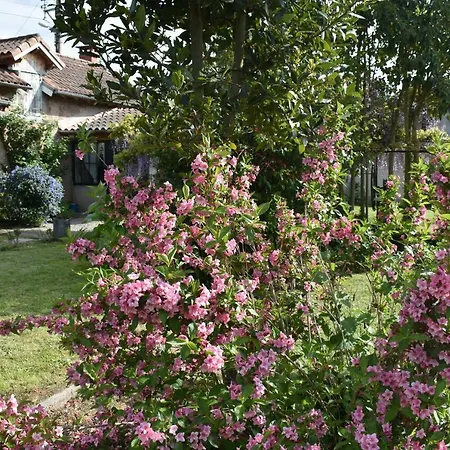 Hébergement de vacances La Maison Molières Montauban