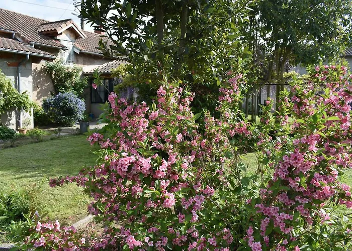 Дом отдыха La Maison Molieres Монтобан