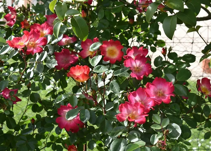 La Maison Molieres Дом отдыха *